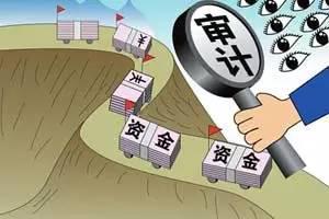 财务审计业务分类